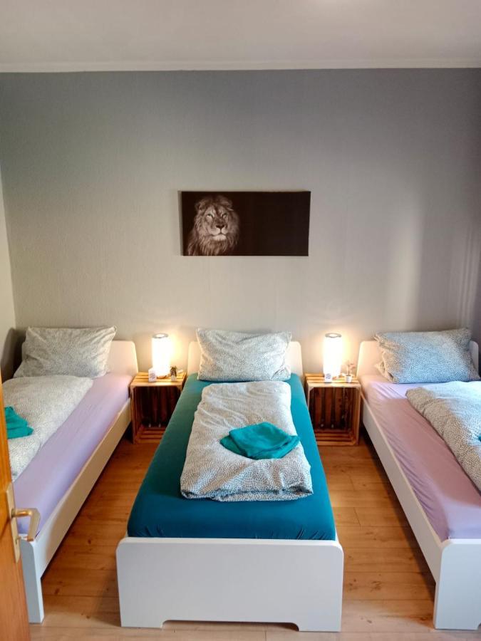 6 Eg L Apartment Flensburg